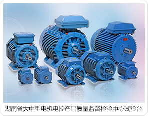 湖南省大中型電機電控產(chǎn)品質(zhì)量監(jiān)督檢驗中心試驗臺 湖南省大中型電機電控產(chǎn)品質(zhì)量監(jiān)督檢驗中心試驗臺