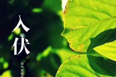 入伏在即，酷暑將至